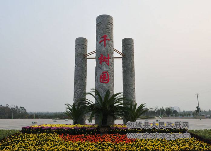 千树园5.JPG