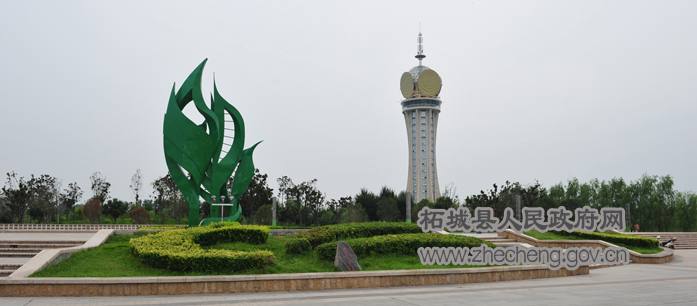 千树园3.JPG