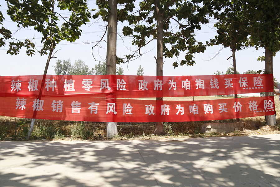 微信图片_20180606193642_副本.jpg