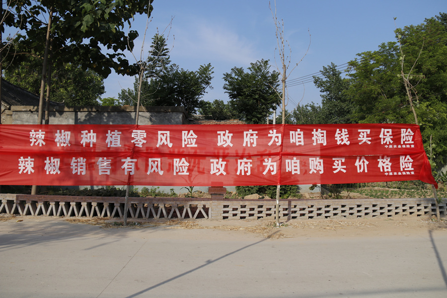 _MG_3622_副本.jpg